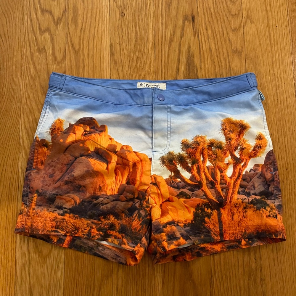 Graphic Desert Penguin Swimming Shorts